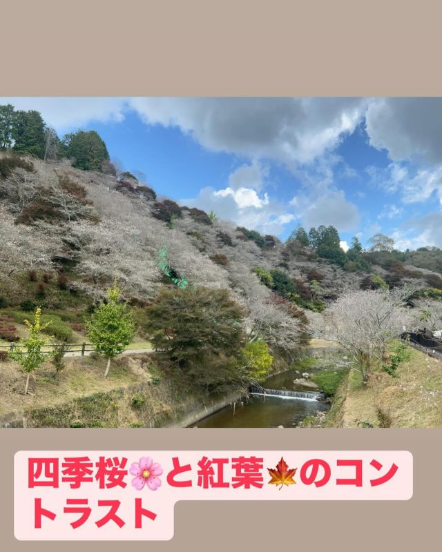 Instagram 投稿 18348327187123433