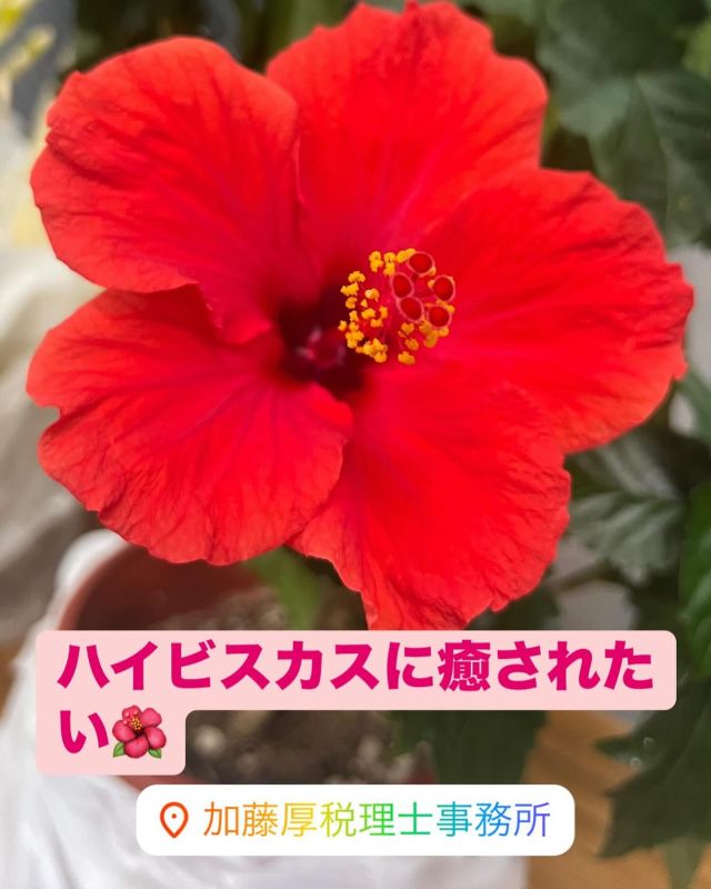 Instagram 投稿 18013234241427034